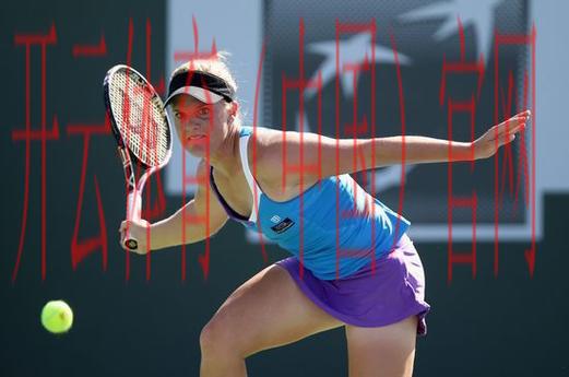 新皇冠体育app下载，让你的体育赛事体验更加精彩与便捷