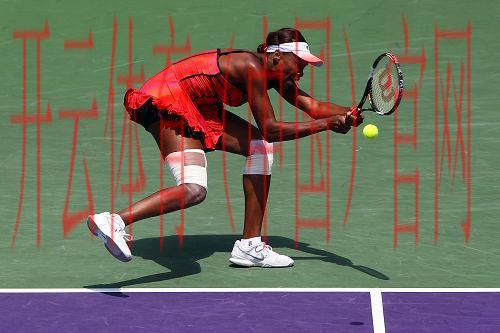 新皇冠体育app下载，让你的体育赛事体验更加精彩与便捷