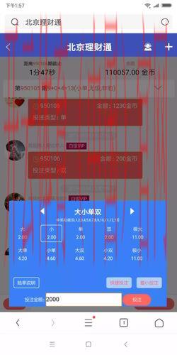 皇冠体育博彩打不开, 解析皇冠体育博彩打不开的常见原因及解决方法，确保顺利投注